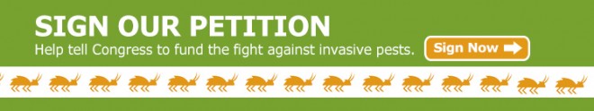 Sign Our Petition Free the Trees