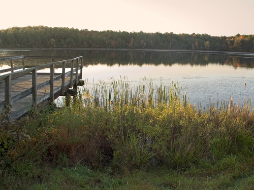 pond in new jersey