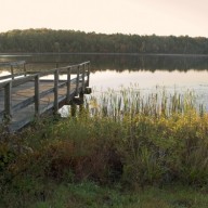 Inspecting Forester Perspective - The Challenges of Working in the Garden State