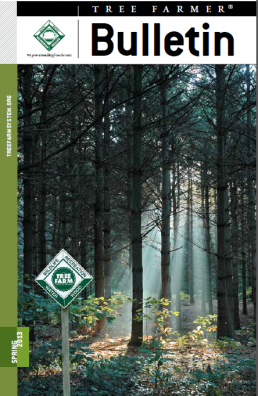 Where the Wild Things Are: Enhancing Wildlife Habitat