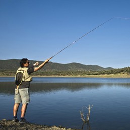 Turn Your Pond or Stream to an Angler's Dream