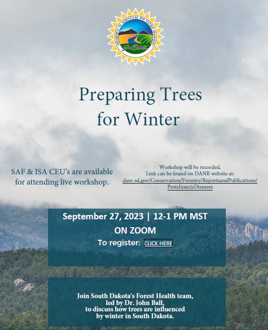 SOUTH DAKOTA FAMILY FORESTS ASSOCIATION
