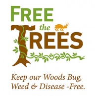 Keeping Our Woods Free of Bugs, Weeds and Disease