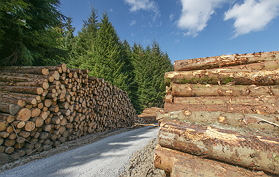 Log Pile