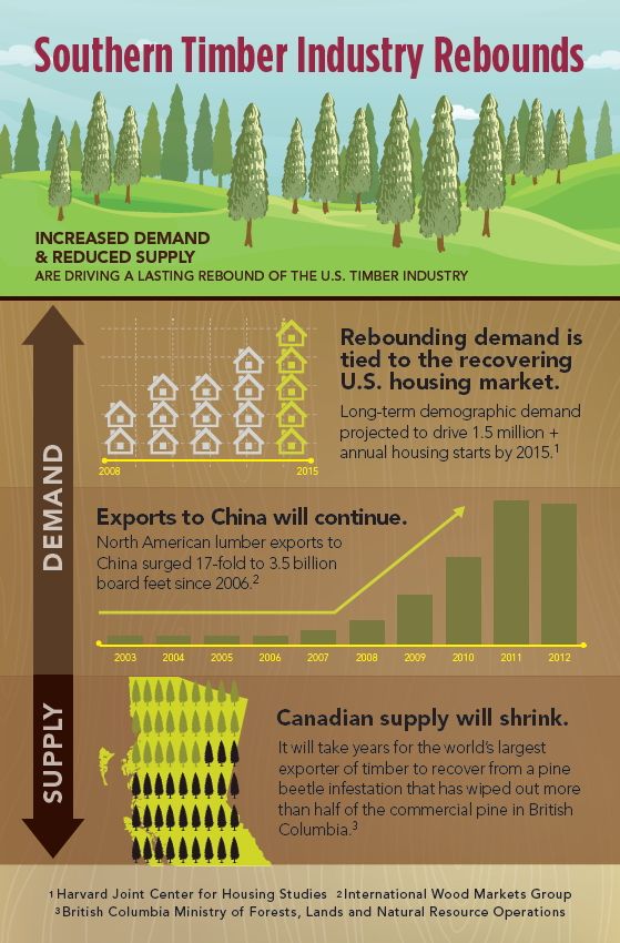 inforgraphic on timber industry in US