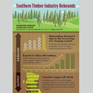 Infographic: Southern Timber Industry Rebounds