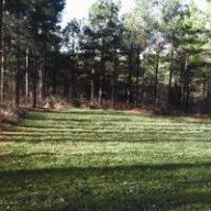 Turning a Logging Deck into Wildlife Habitat