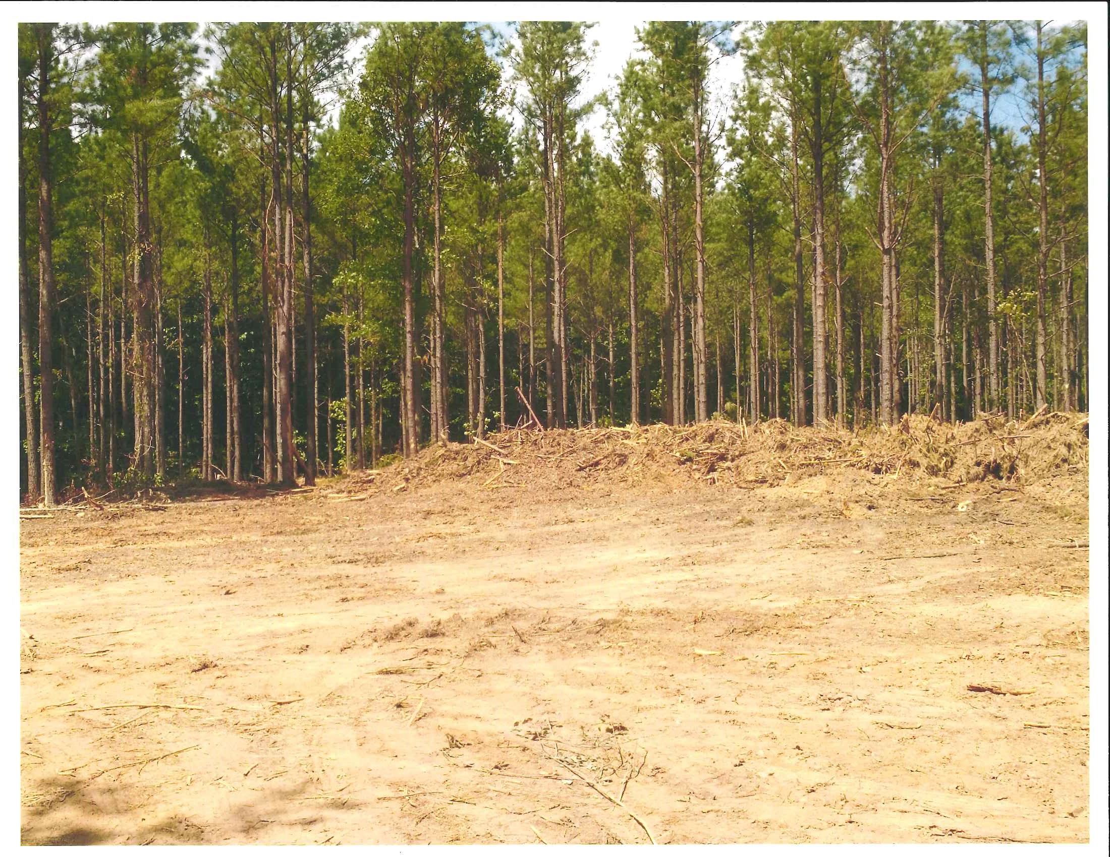 Harvest on property