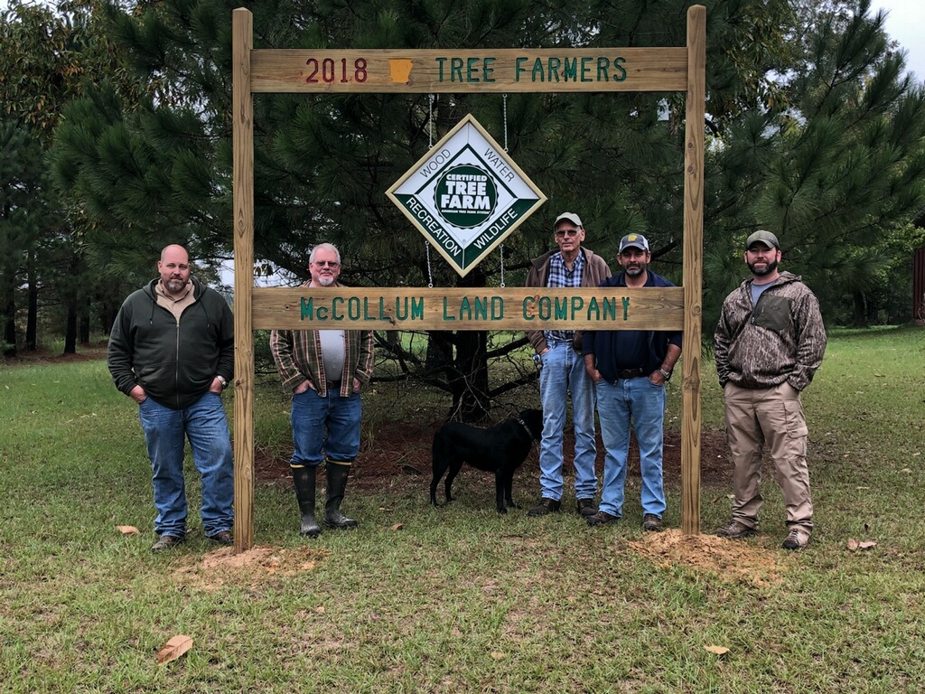 McCollum Tree Farm