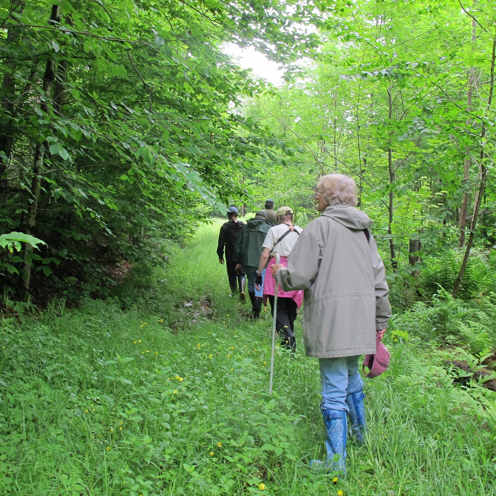 birder group