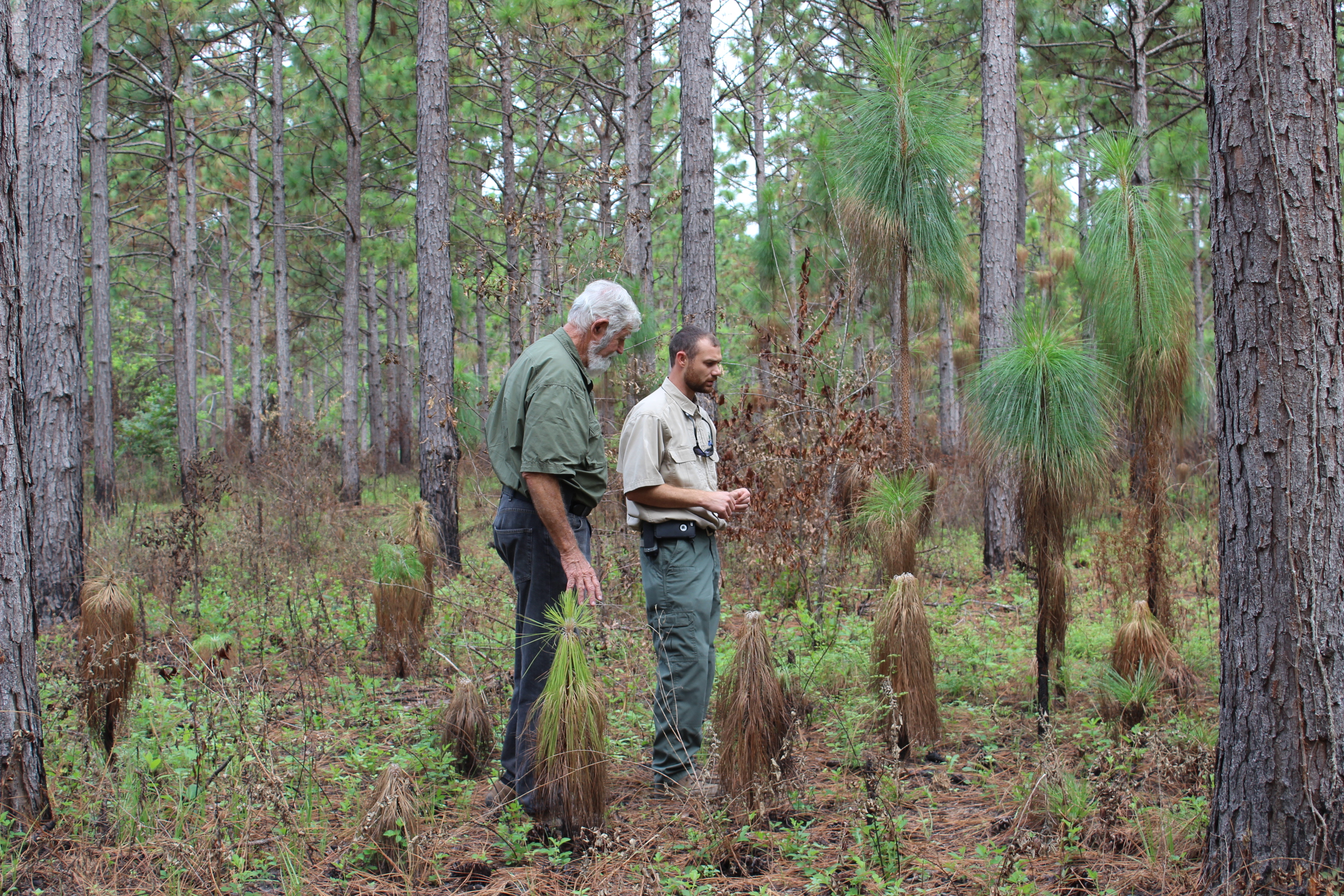 Doing work on their Alabama land