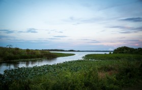 Landscape Management Plan