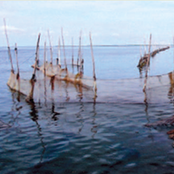 Surf and Turf: Chesapeake Bay Watermen Catch Fish with Trees