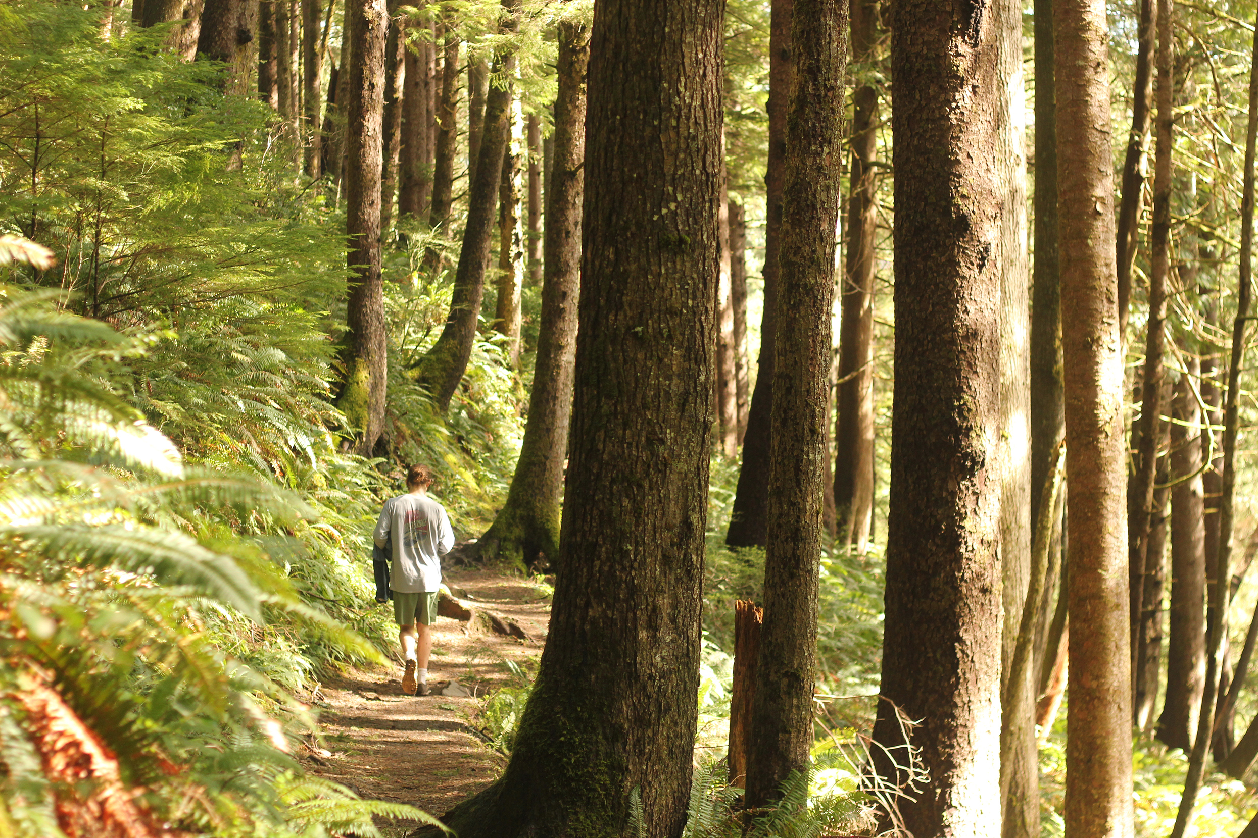 Teen walking in forest