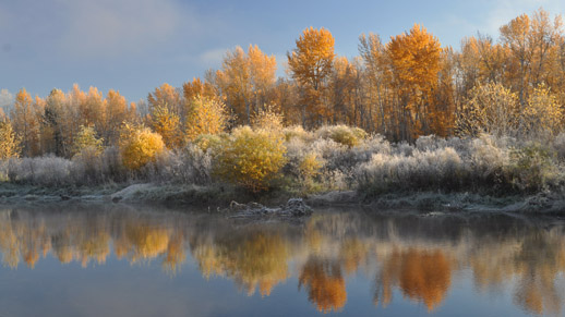 Flickr Idaho USDA forest fall pic