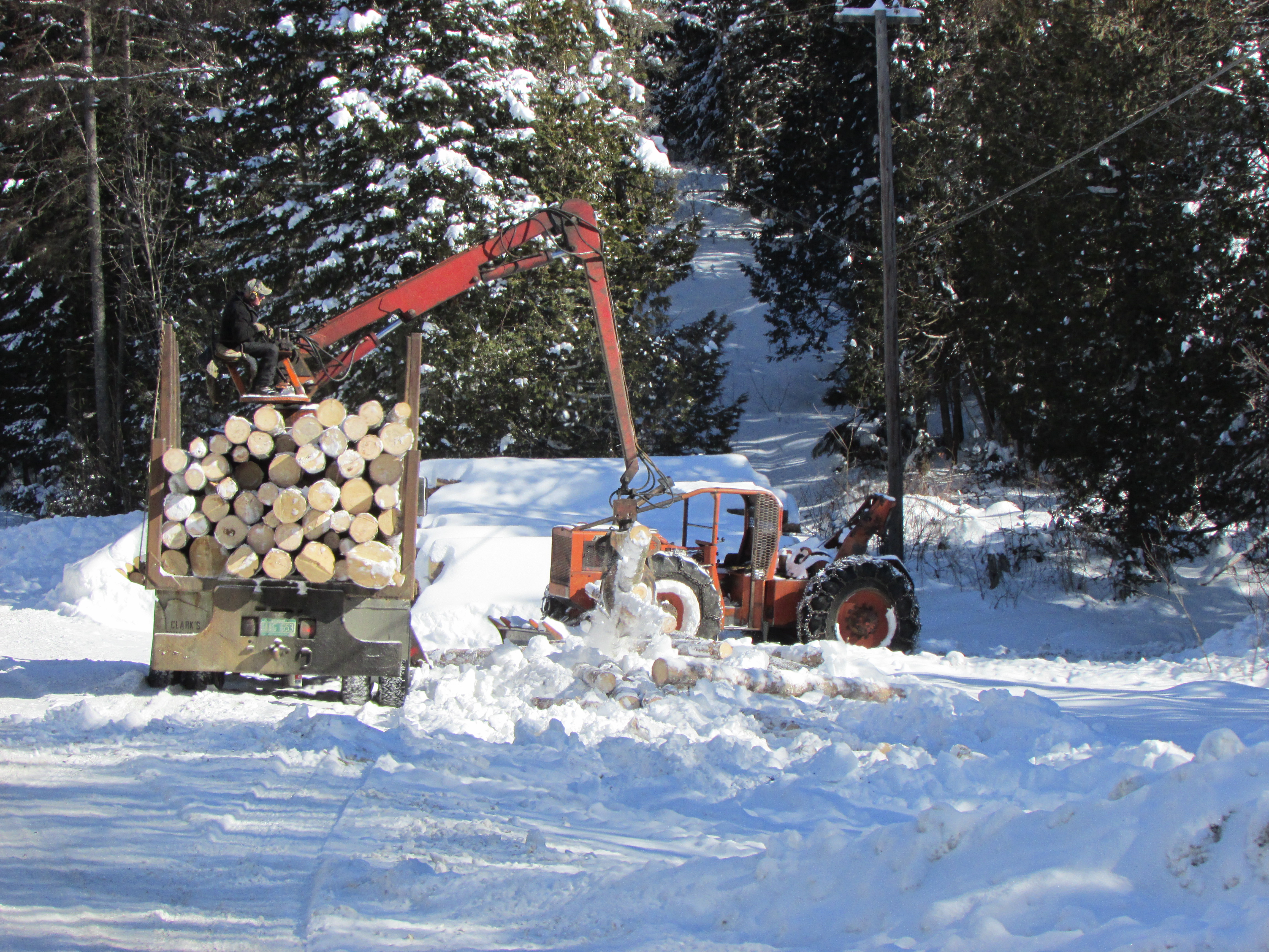 Wood work on the land