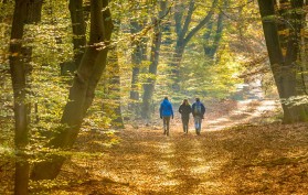 The Family Forest: A Virtual Community for Family Forest Owners