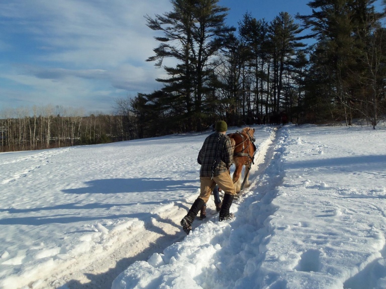 Chewonski School Flickr photo horse logging