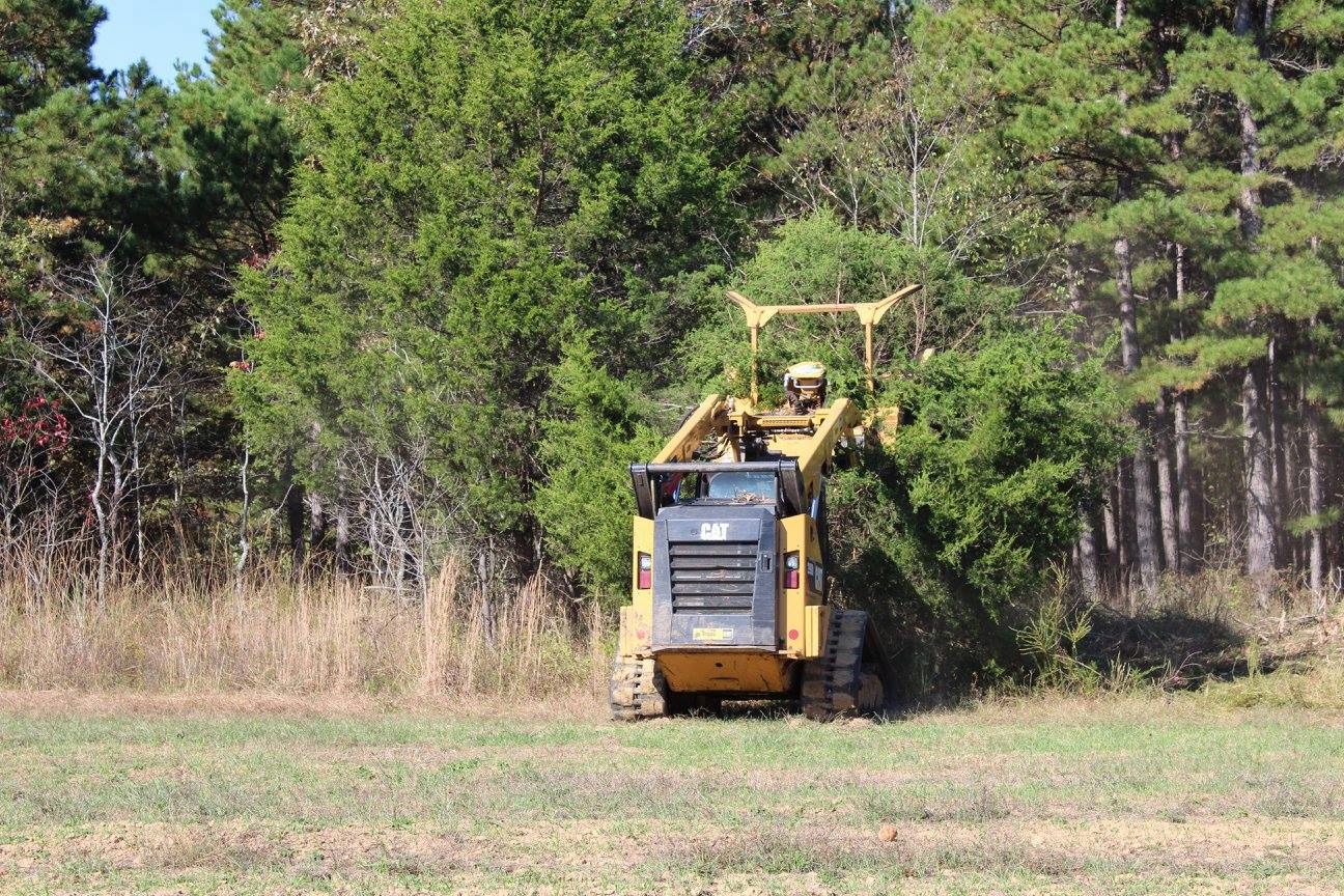 Paul doing work on his Tree Farm