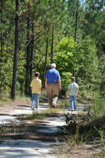 A Walk in the Woods