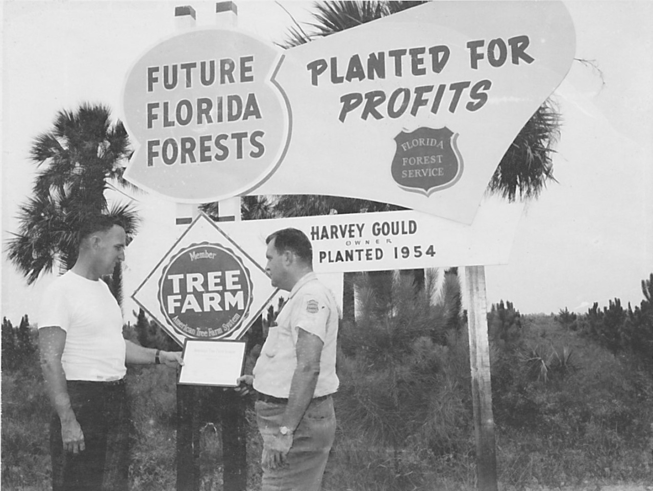 Tree Farming runs in the Gould's family
