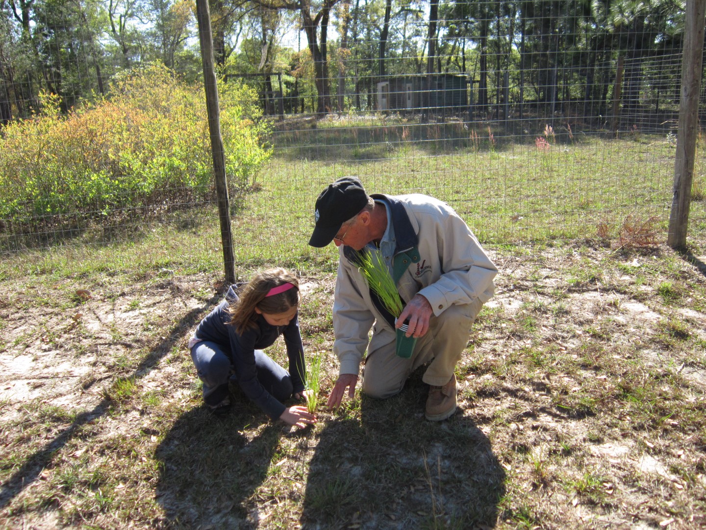 Helping grandparents plant trees