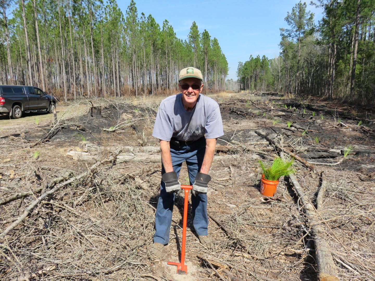 Planting on the property